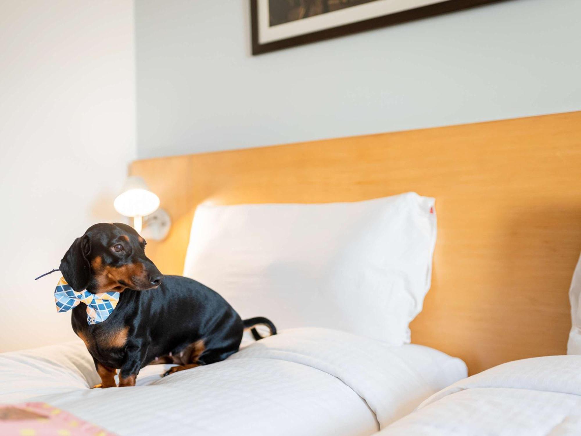 Ibis Stuttgart Airport Messe Hotel Leinfelden-Echterdingen Luaran gambar